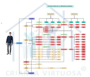 Hábitos entitativos y operativos