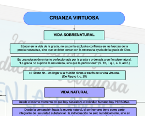 Crianza Virtuosa