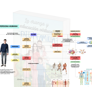 Estructura de la Persona